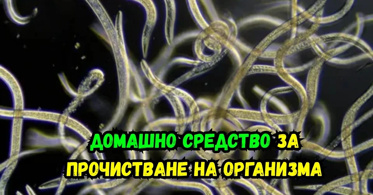 Имбир и куркума