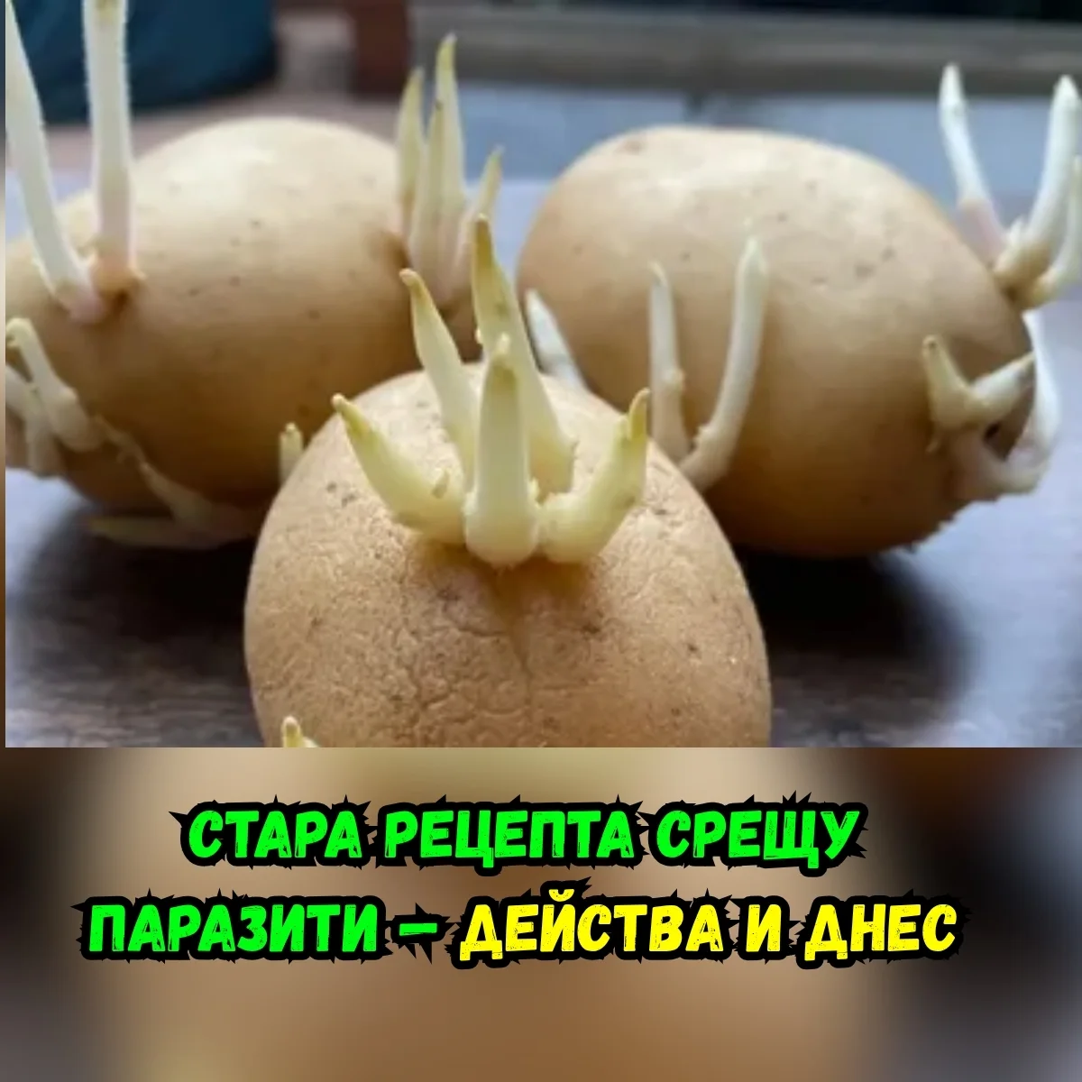 Какао с орехи