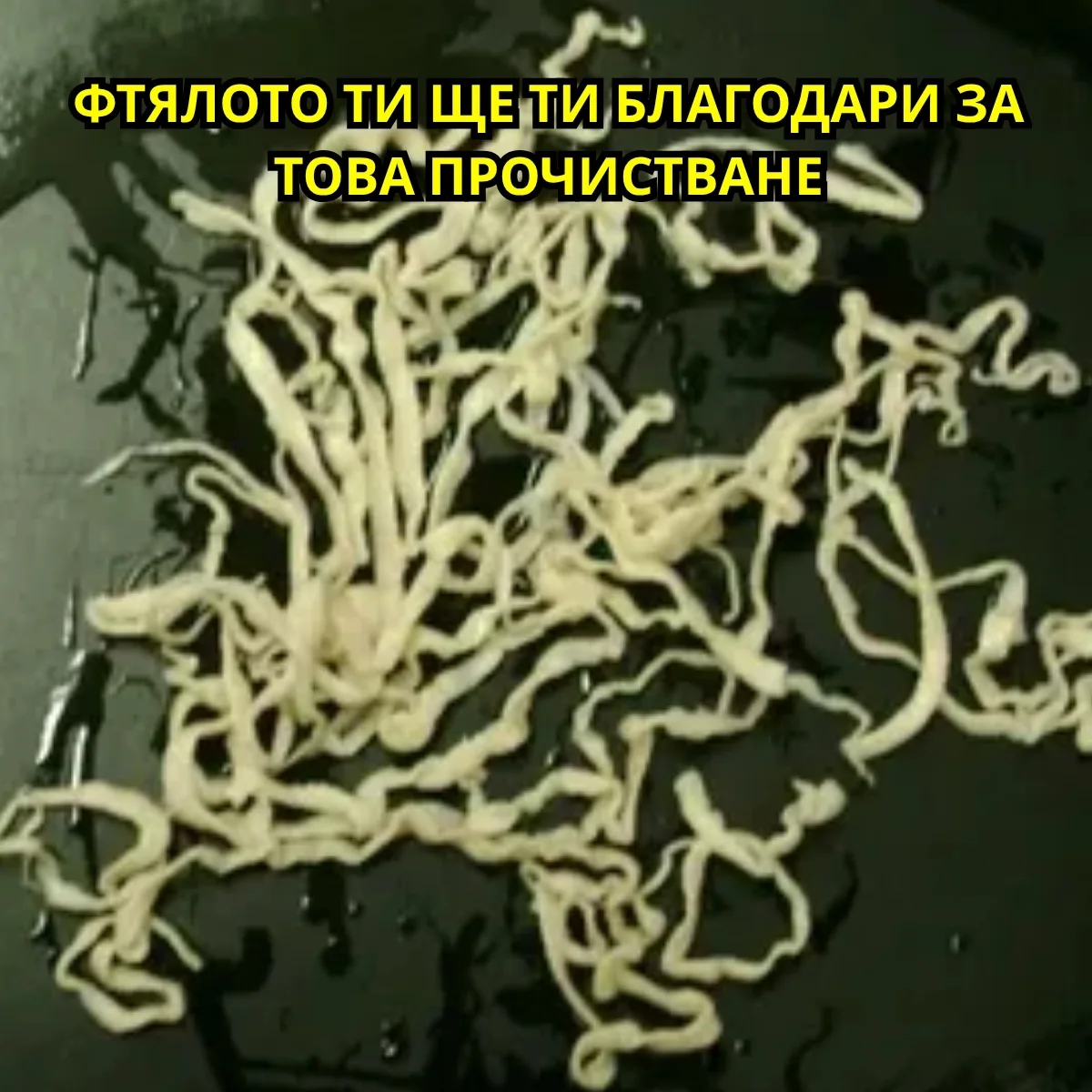 Матча и ябълка