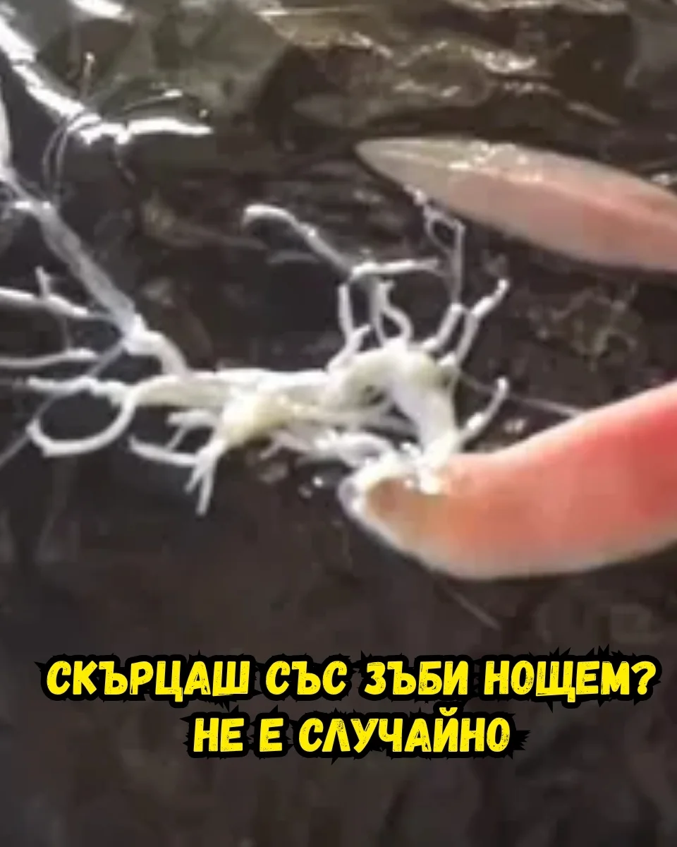 Кокосова вода с портокал