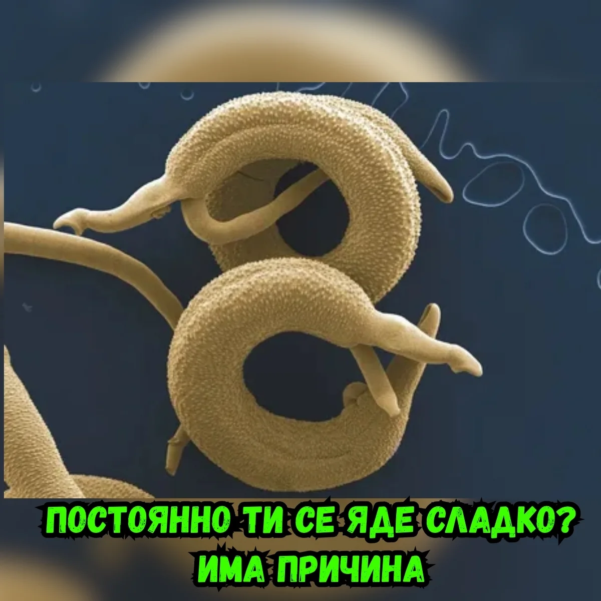 За какво сме ние